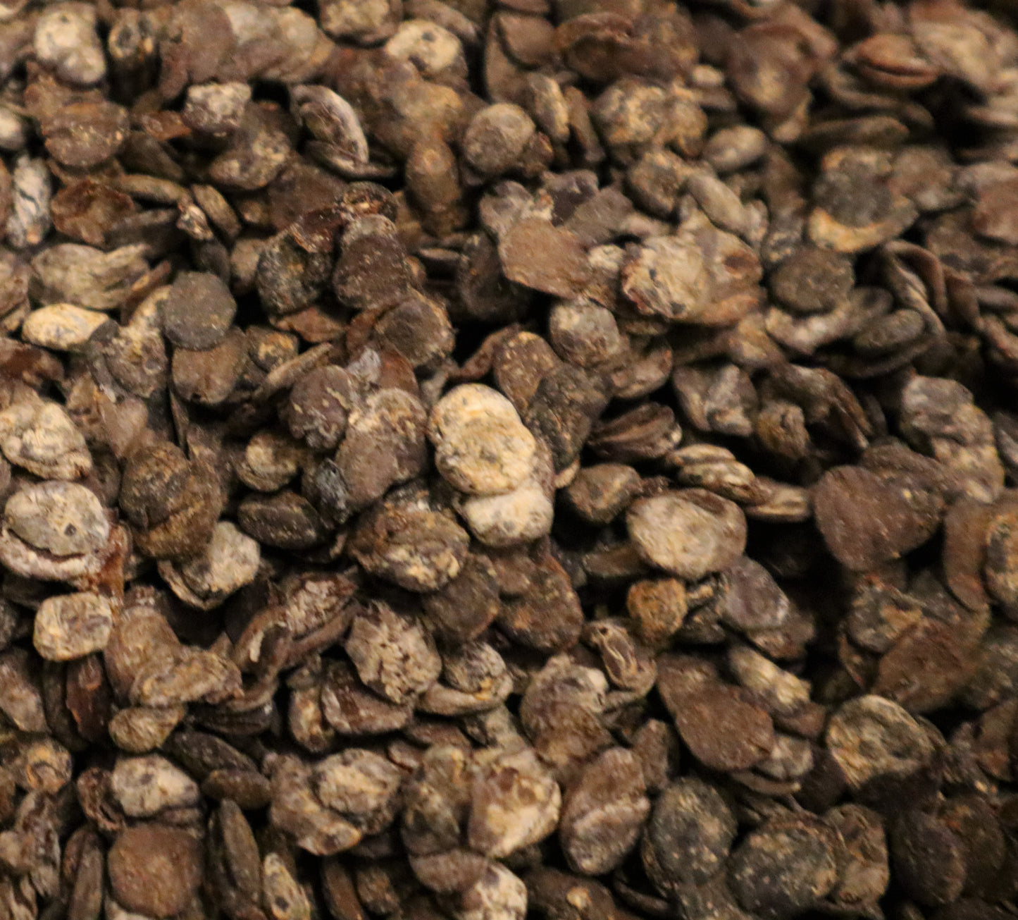 Whole Dried Locust Beans