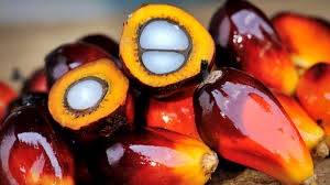 100% Pure & Unrefined Red Palm Oil - 1L (35oz)